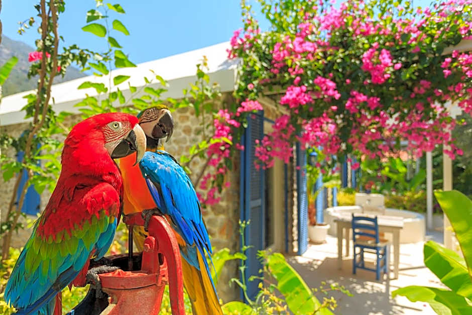 Flamingo Hotel & Spa - Pet Friendly