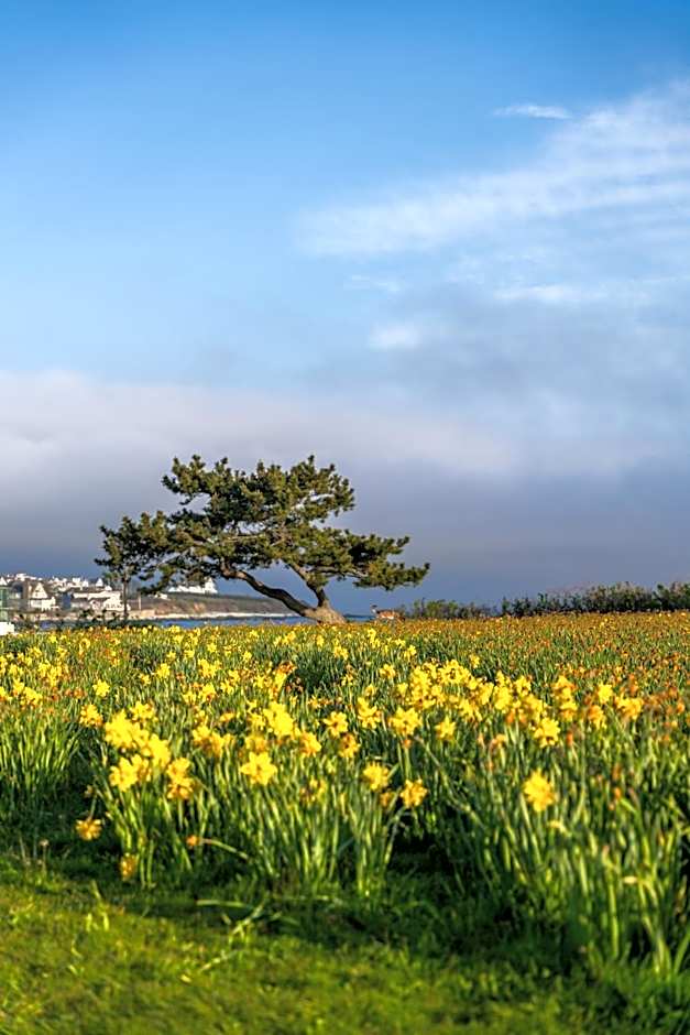 Newport Beach Hotel And Suites
