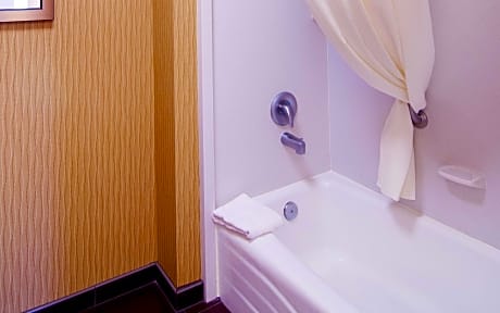 1 King Mobility/Hearing Acc Ri Shower Nosmok