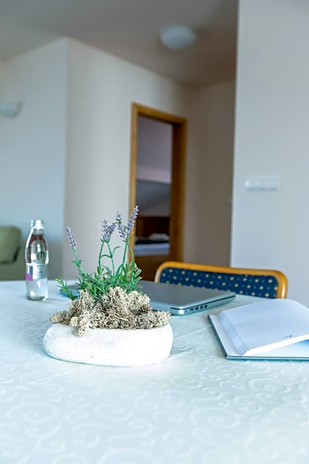 Hotel Bau Maribor