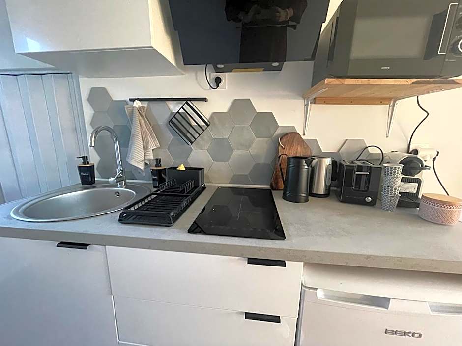 Studio bas sur Castelginest