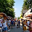 Zielone Wzgórza - Centrum Soliny - SPA 695-744-679