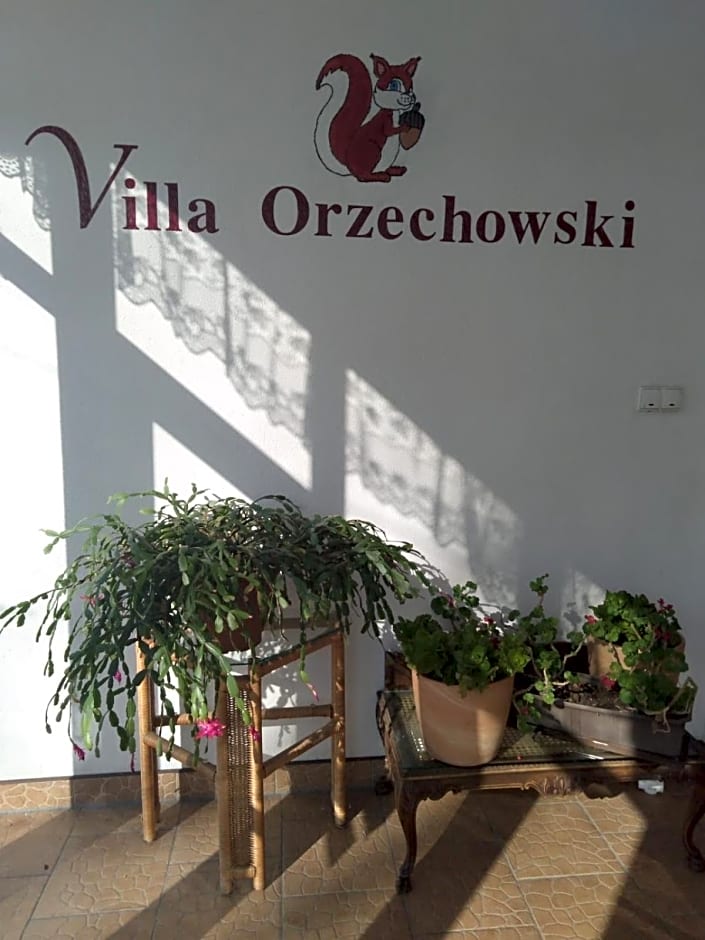 Villa Orzechowski – Wisla, IN