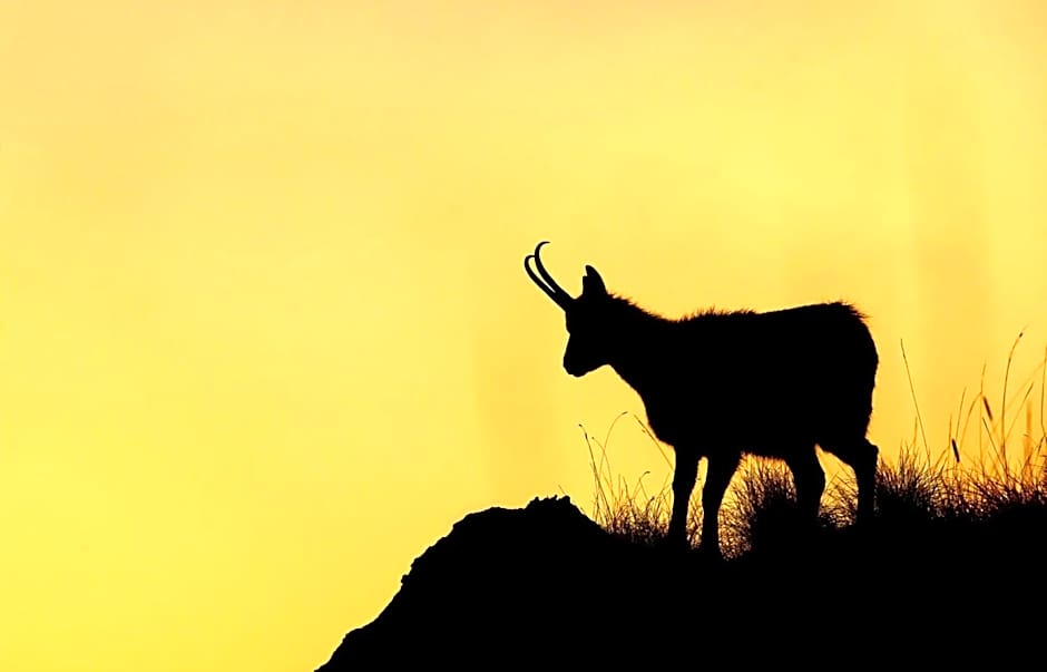 HOTEL HOLIDAYS a Barrea - Natura, Relax e Benessere nel Parco d'Abruzzo