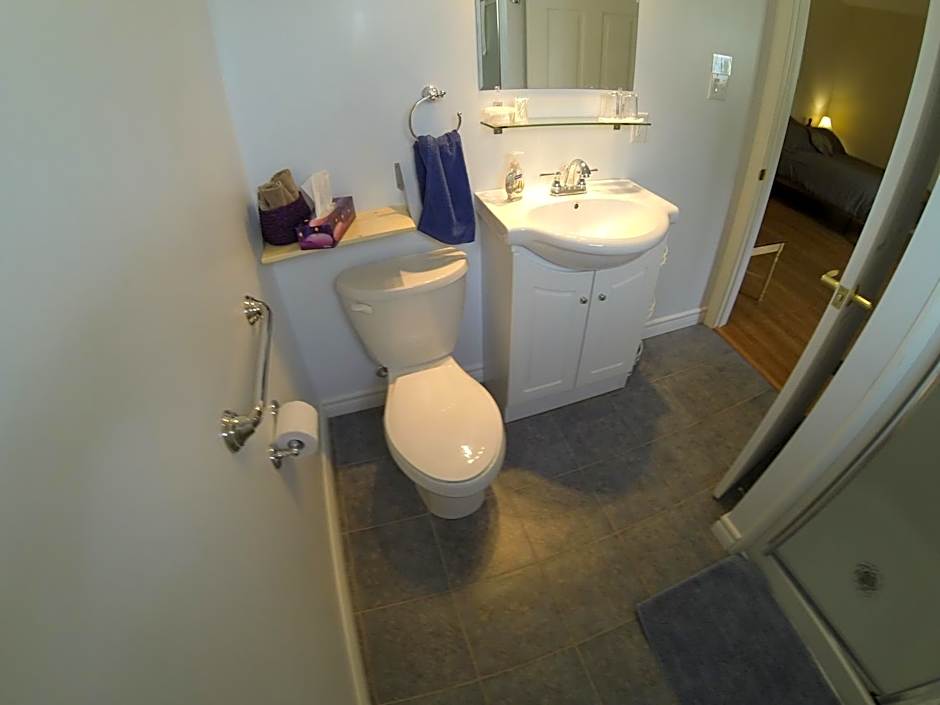 The Fiddle and the Sea Bed and Breakfast