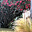 Chambres d'hôtes la Soulenque Luxury B & B