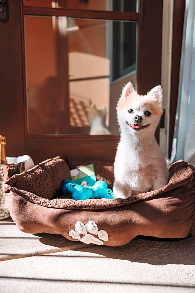 Fairmont Sonoma Mission Inn And Spa