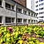 mk hotel frankfurt