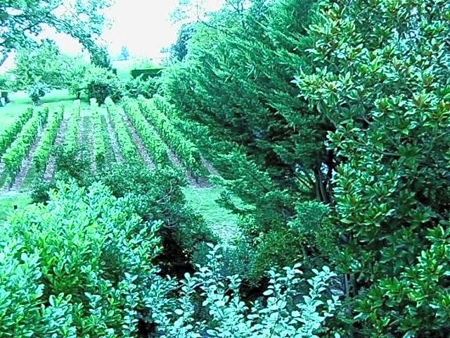 Bed And Breakfast Saint Emilion – Saint-Émilion, FL