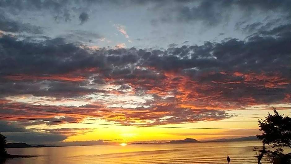 The Surf Lodge and Pub