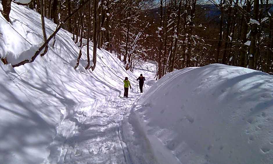 Chata z bali Bukowina