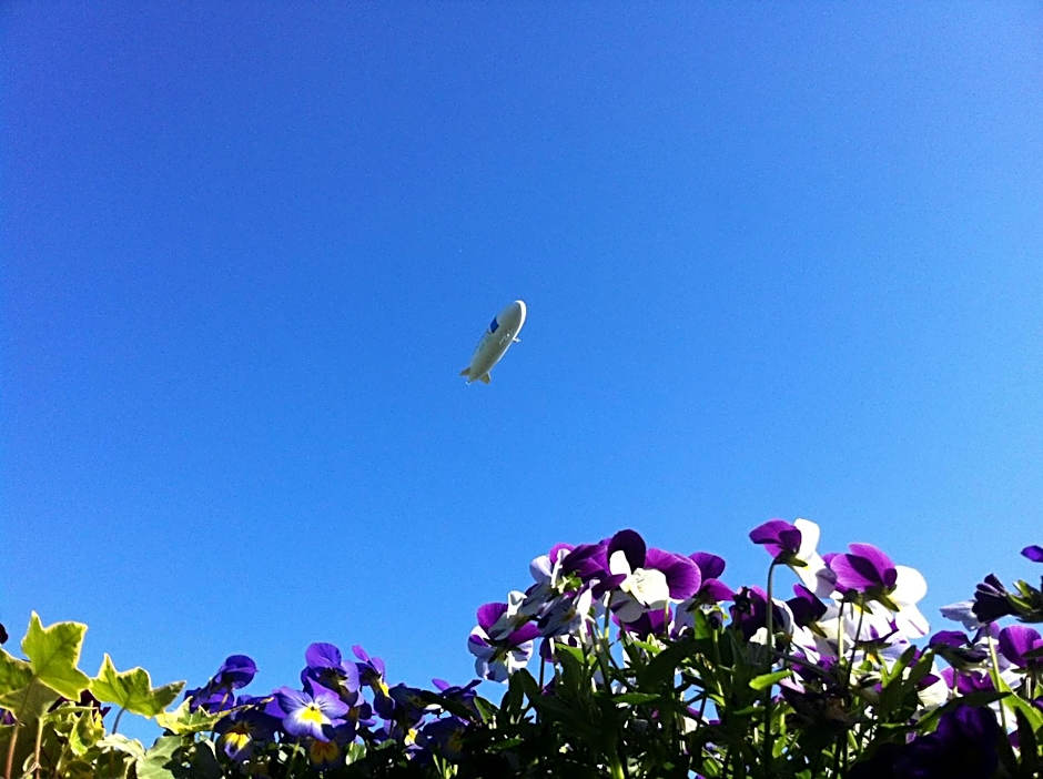 Apfelblüte bed & breakfast 8 km vom Bodensee