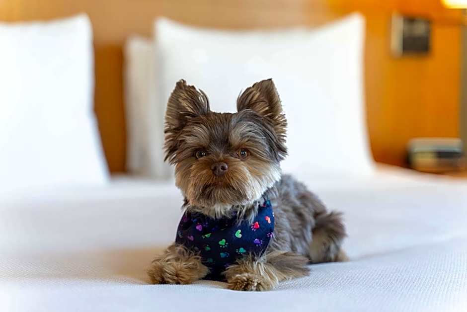 Hyatt Place Pasadena