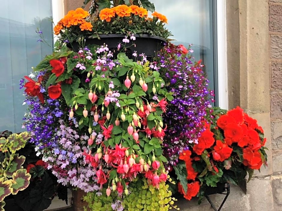 Rosebank Guest House