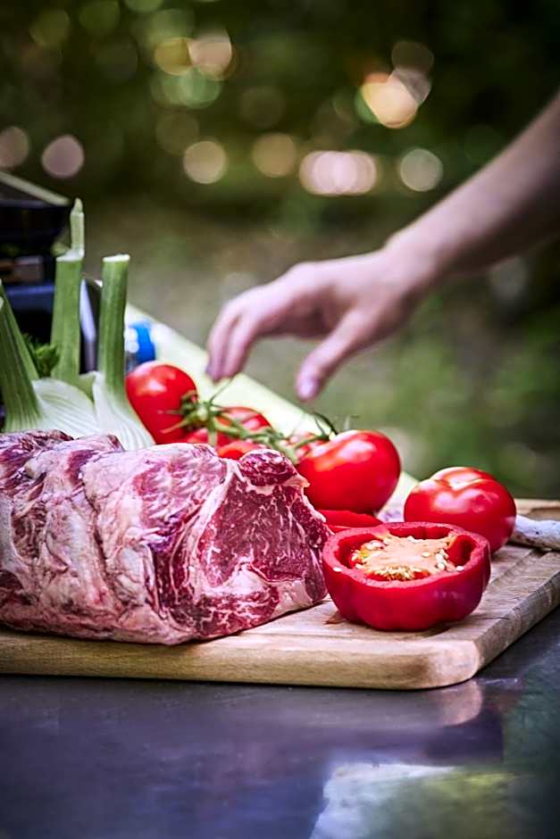 Logis Bagatelle - 51530 Dizy