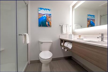 1 King Bed Deluxe Studio Suite Non-Smoking