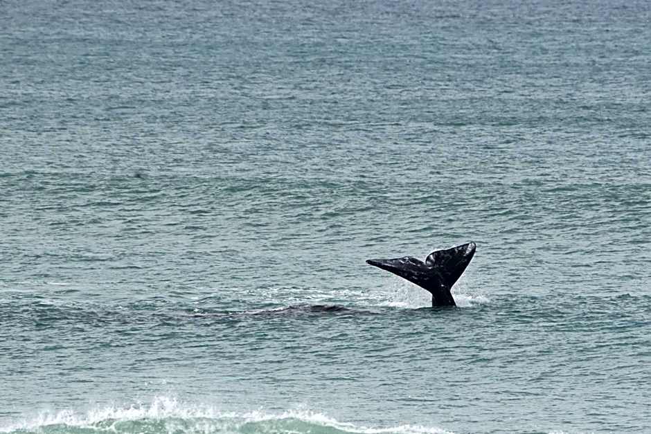 Shaloha Guesthouse on Supertubes