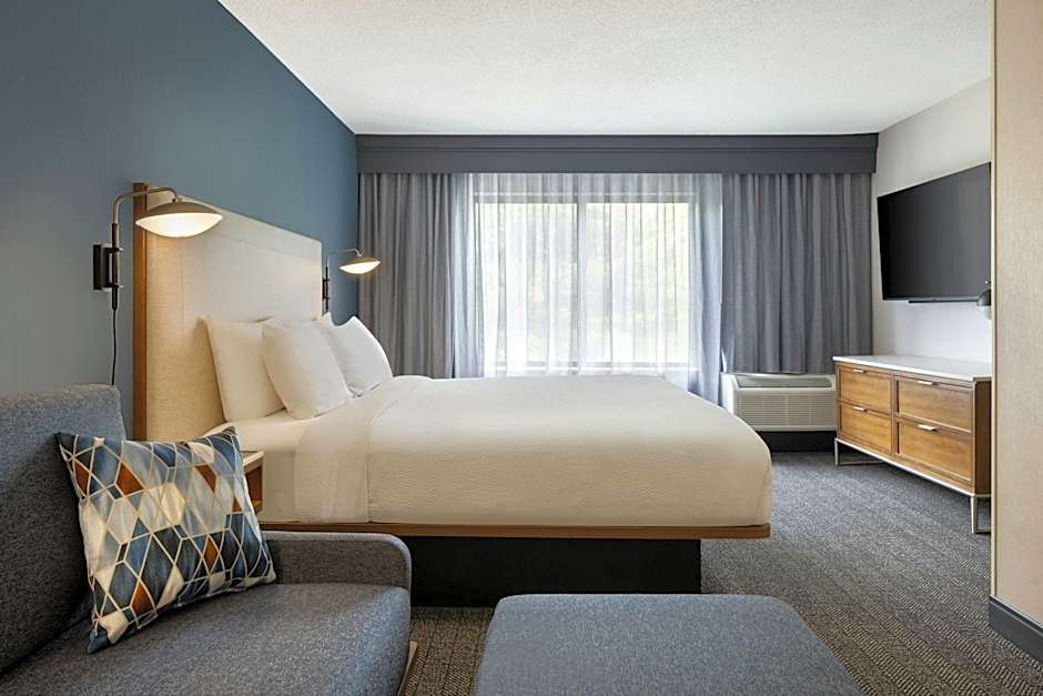 Photo 1 of 10 of 1 Bedroom 1 King Bed with Sofabed Suite