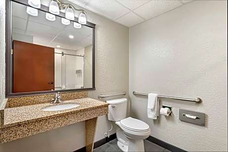 1 King Mobility Accessible Walk In Shower Microwave Fridge Wi-Fi Non-Smoking Continental Breakfast