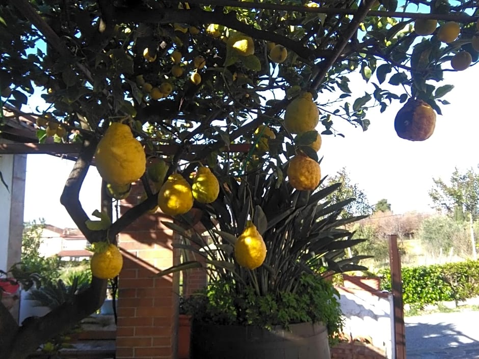 B&B La Porta Del Cilento