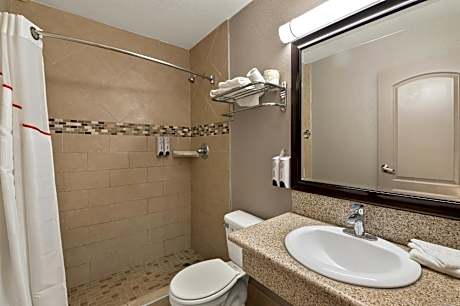 Superior King Room Smoking