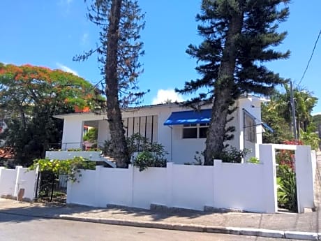 A Primeira Vista
