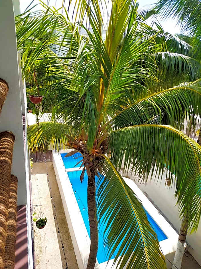 Casa aloha-Isla Holbox