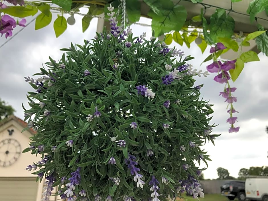 Old Thatch Bambers Green