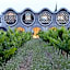 Mastinell Cava & Boutique Hotel by Olivia Hotels Collection