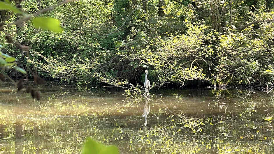 Warren Wood Country Park