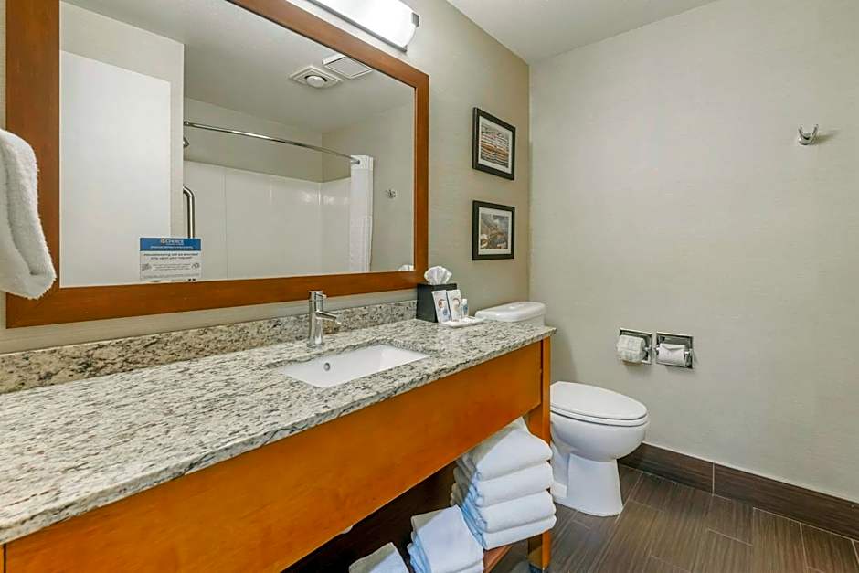 Comfort Inn & Suites Seatac