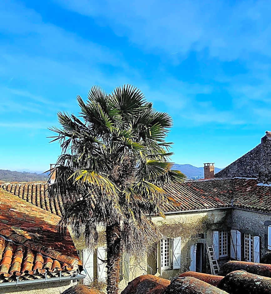 Hôtel Candide