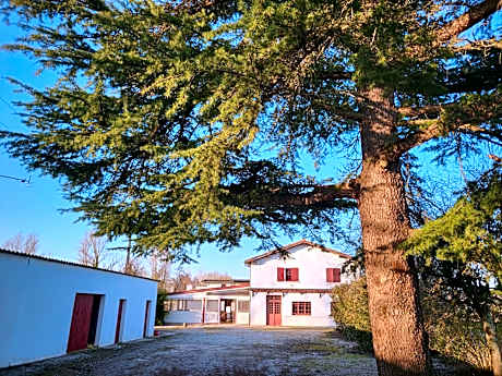 WonderBar (Auberge du Trinquet)