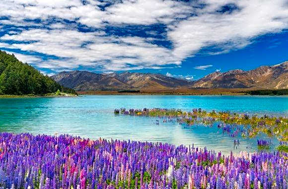 Manapouri Lakeview Motor Inn