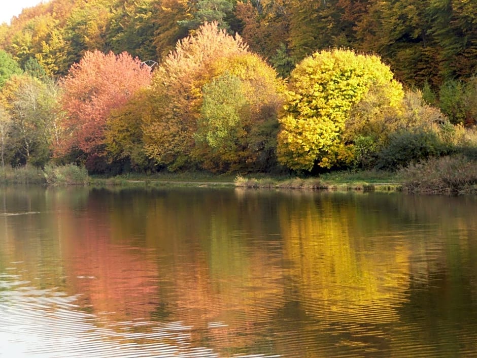 Chez Anny et Jean Au Mittelbuehl,Reichshoffen,Pays de Niederbronn les Bains