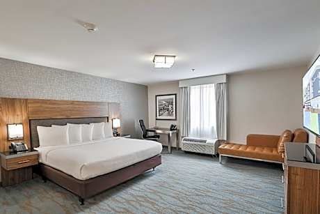 1 King Bed, Nonsmoking, Accessible