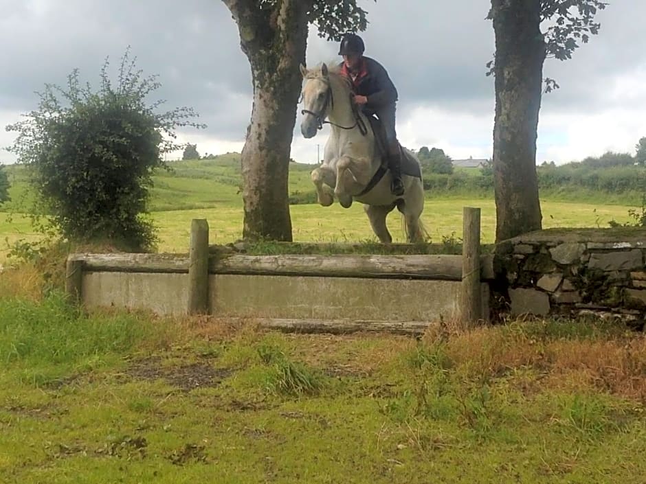 The Rock Equestrian Farm B&B