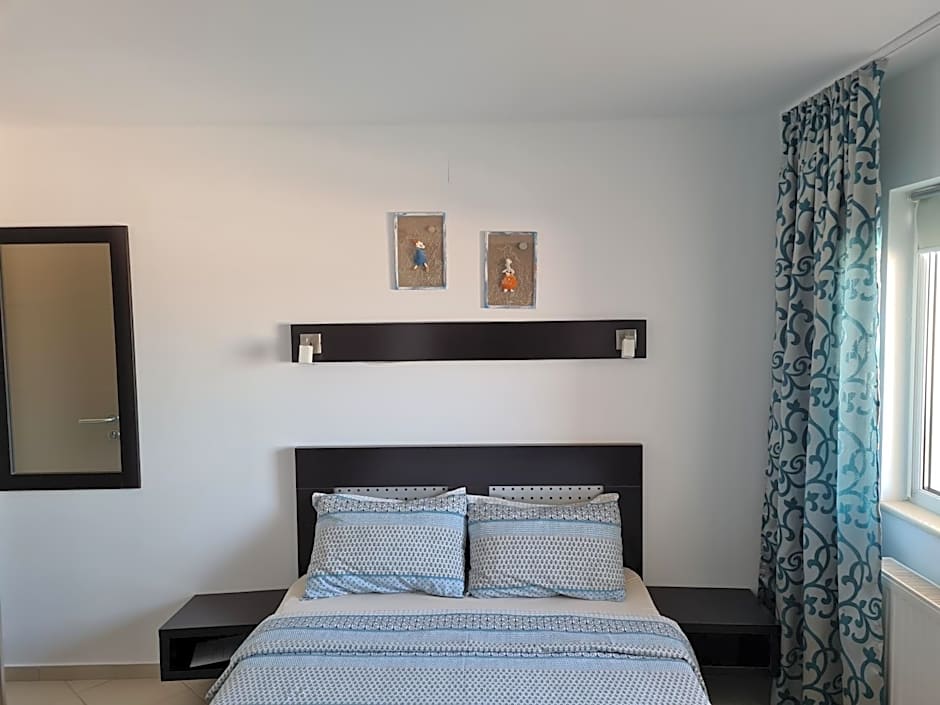 Vila Dini(La Rogojini)