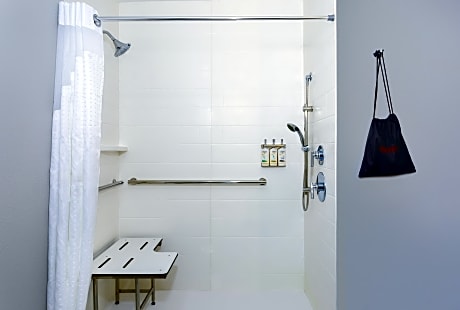 1 King Suite Mobility Accessible Roll-in Shower