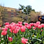 Comfort Inn University Center
