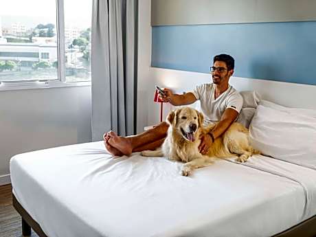 Standard Apartment with queen-size bed and equipped kitchen