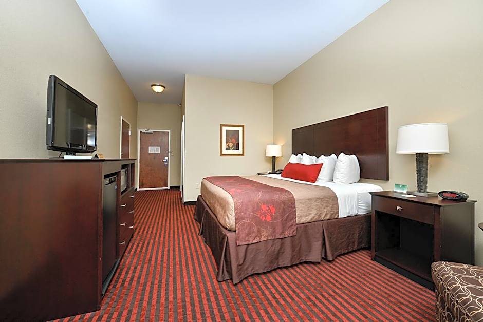 Photo 1 of 3 of 1 King Bed, Accessible, Bathtub