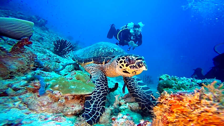 Sky Beach Maldives - Dhiffushi