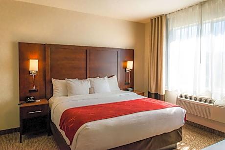 1 King Bed, Suite, Nonsmoking