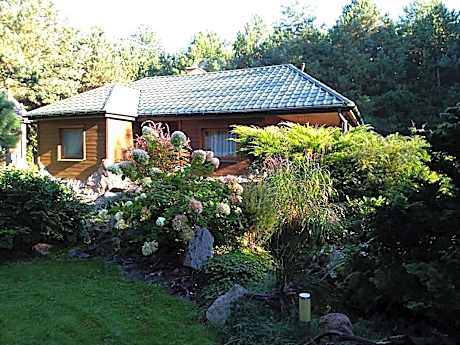 Uroczysko Ludwinowo na Podlasiu