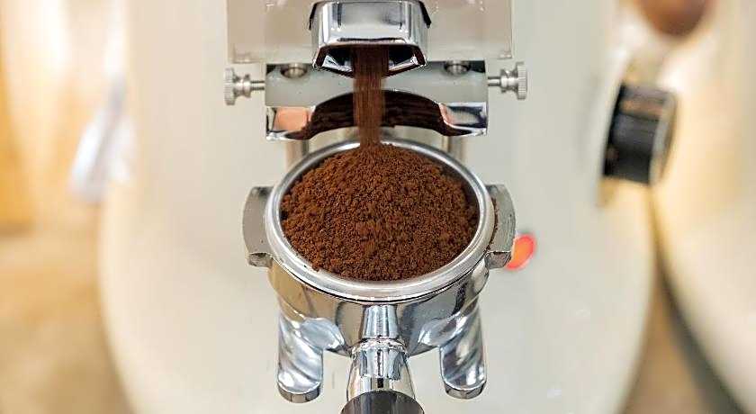 Petra Poshtel Donmuang