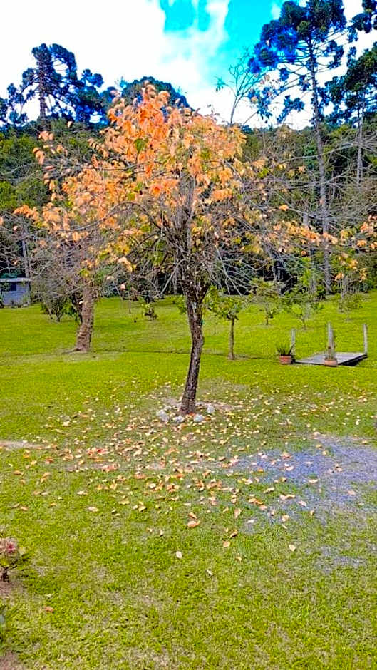 Pousada Bosque do Visconde