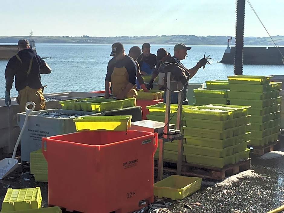Appartement Design II - Port du Rosmeur -Douarnenez