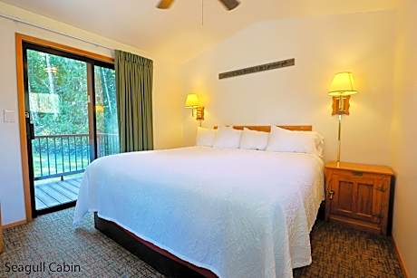 Cabin Deluxe - 2-Bedroom