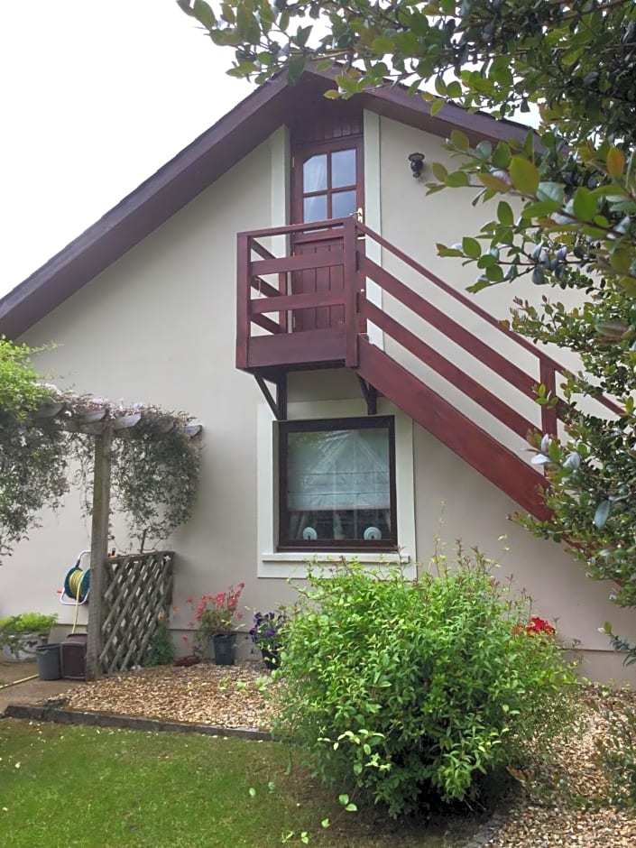 Dwynant - A Room with a View